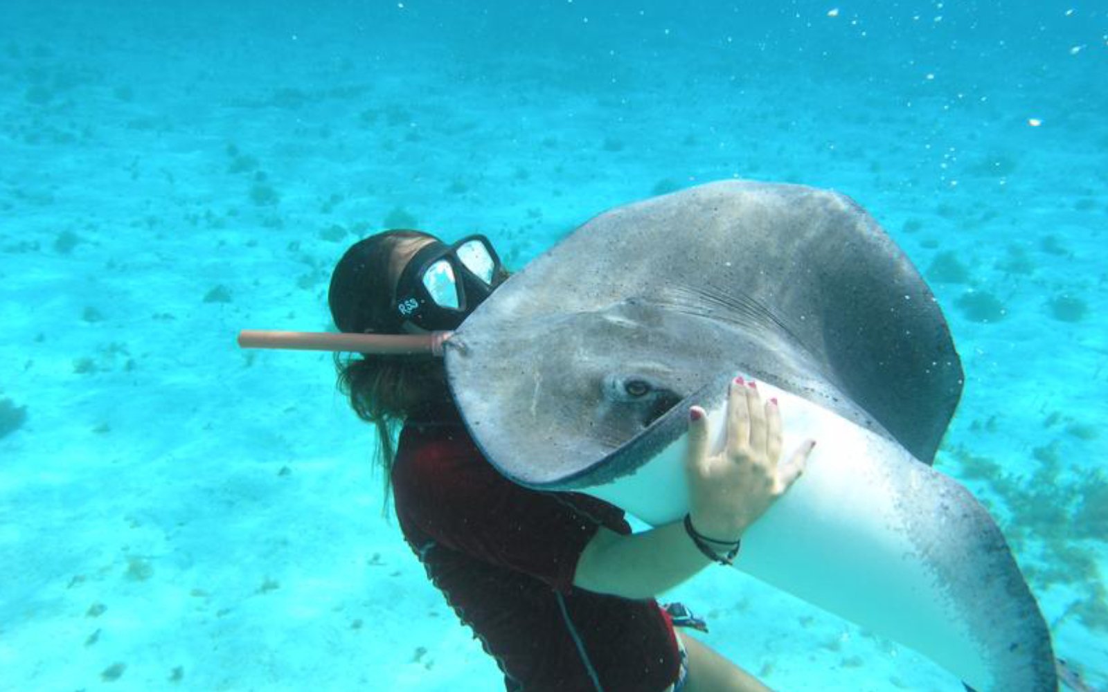 Meet our OceanZen Founder, Steph Gabriel