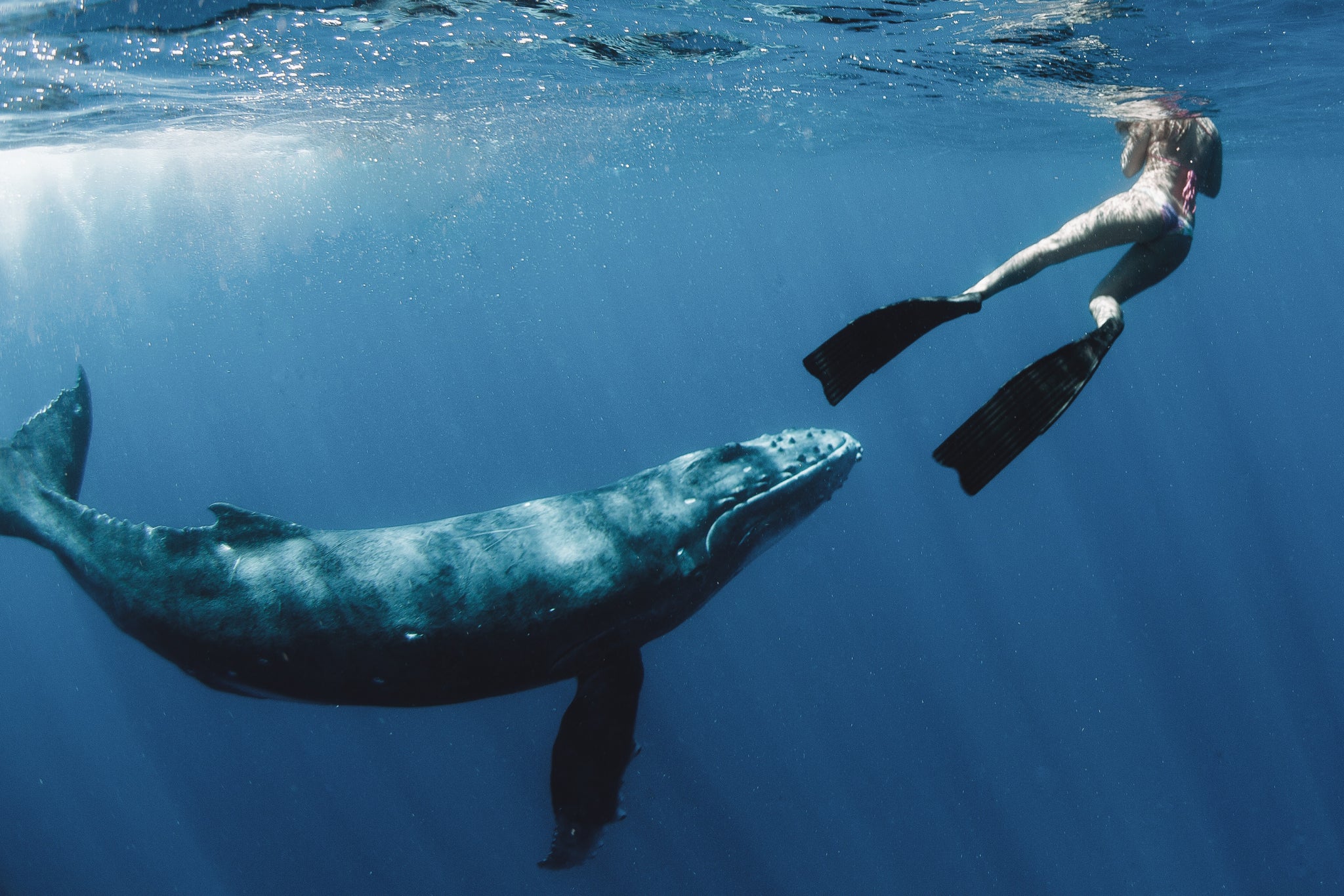 bikini swimwear ethical